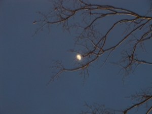 Missouri Moon on a Blue Night
