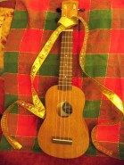 christmasdecorating2014 006